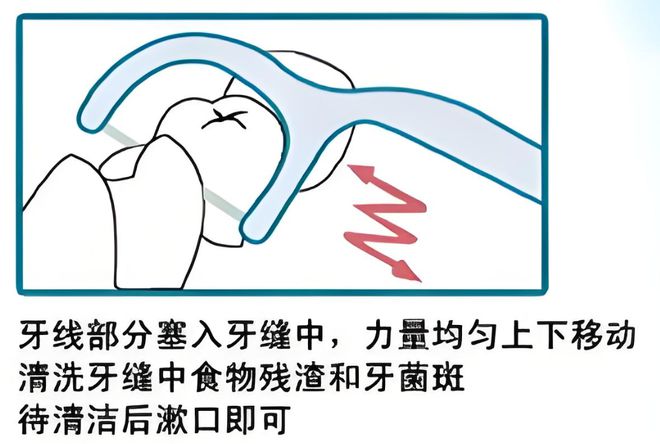 卫生习惯--小鹿妈妈牙线long8登录年夜饭后的