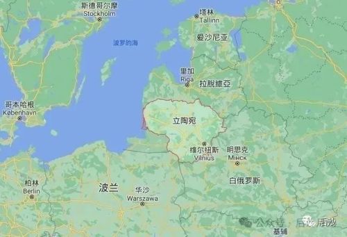 冷遇抱怨中国“不识抬举”？！龙8手机登录入口立陶宛示好遭(图2)